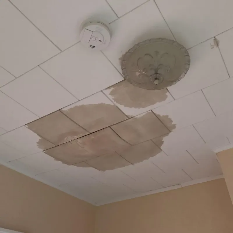 Ceiling Water Damage Repair in Davidson County, TN