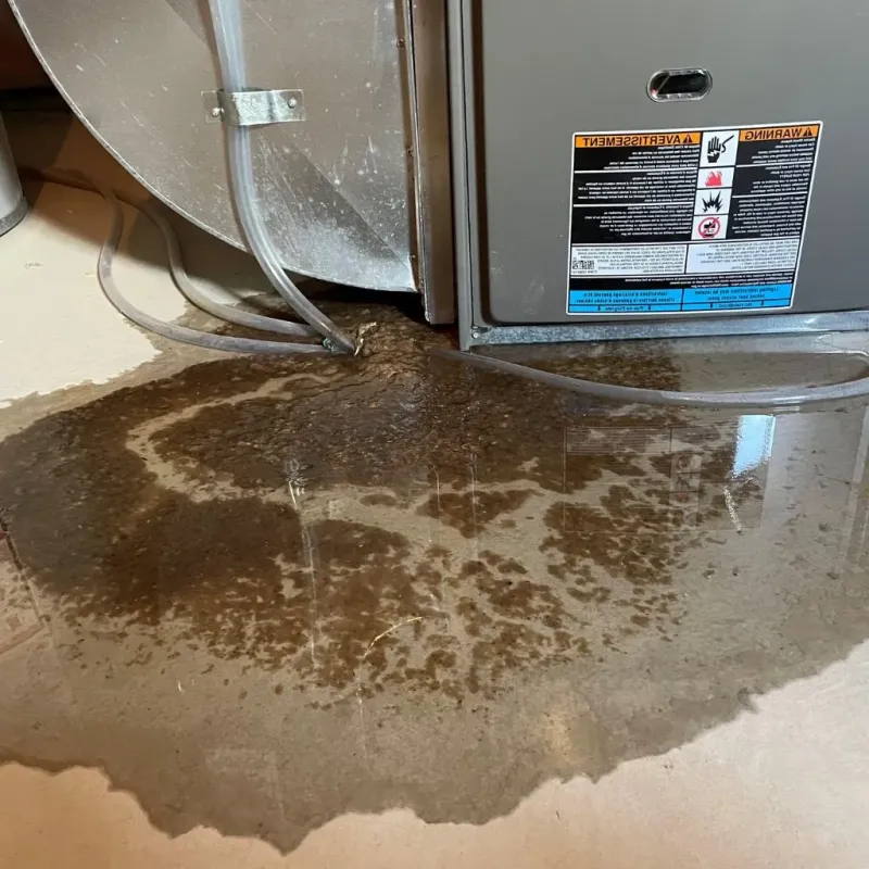 Pipe Burst and Leak Restoration in Davidson County, TN
