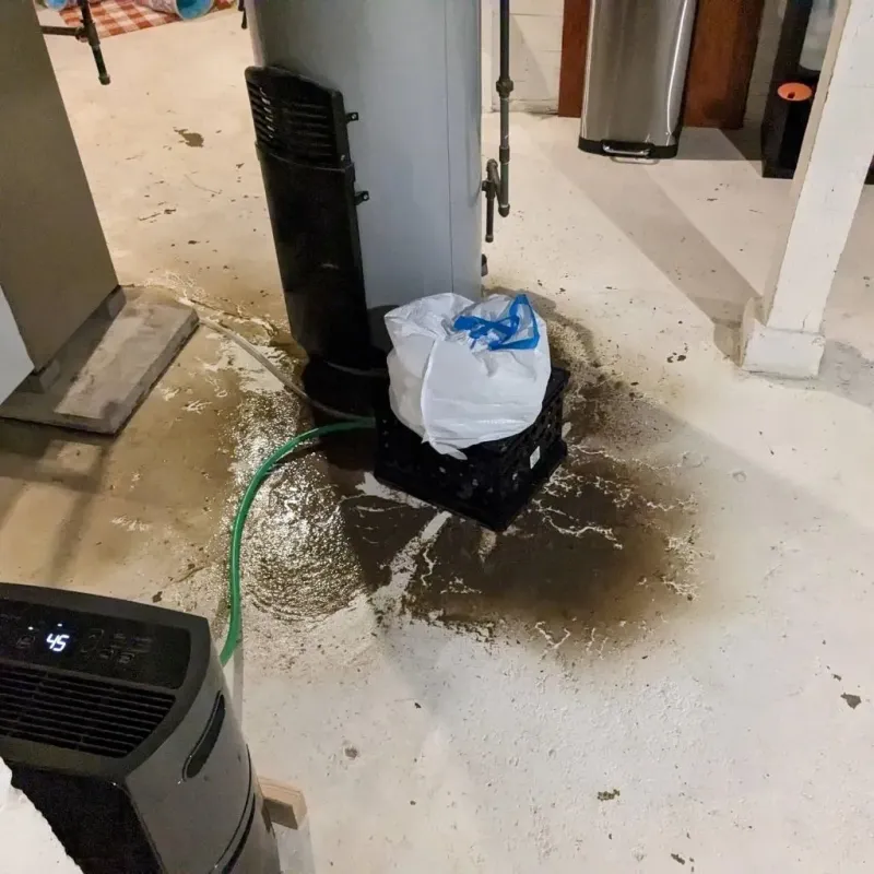 Sewage Backup Cleanup Service in Davidson County, TN